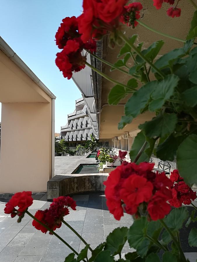 Гостиница Ива Gagra Exterior foto