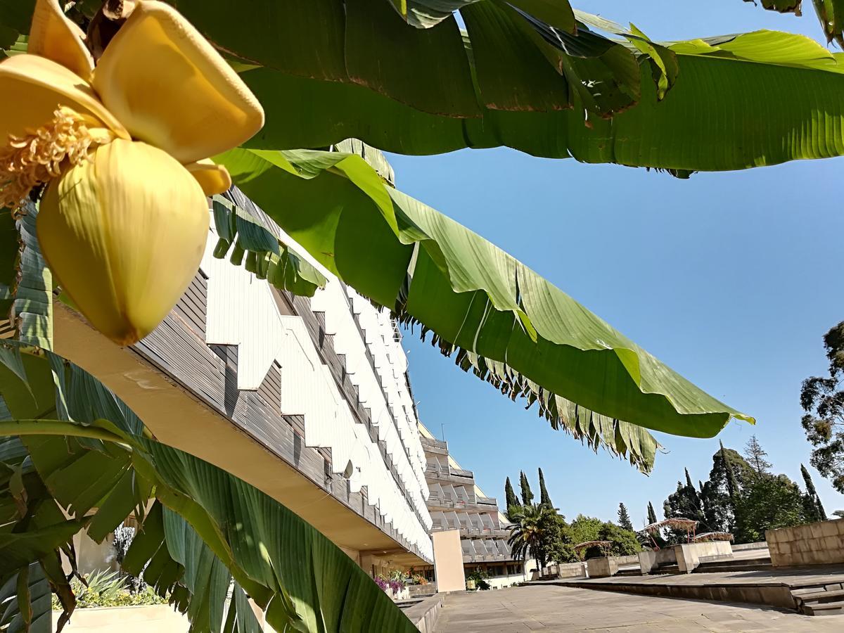Гостиница Ива Gagra Exterior foto